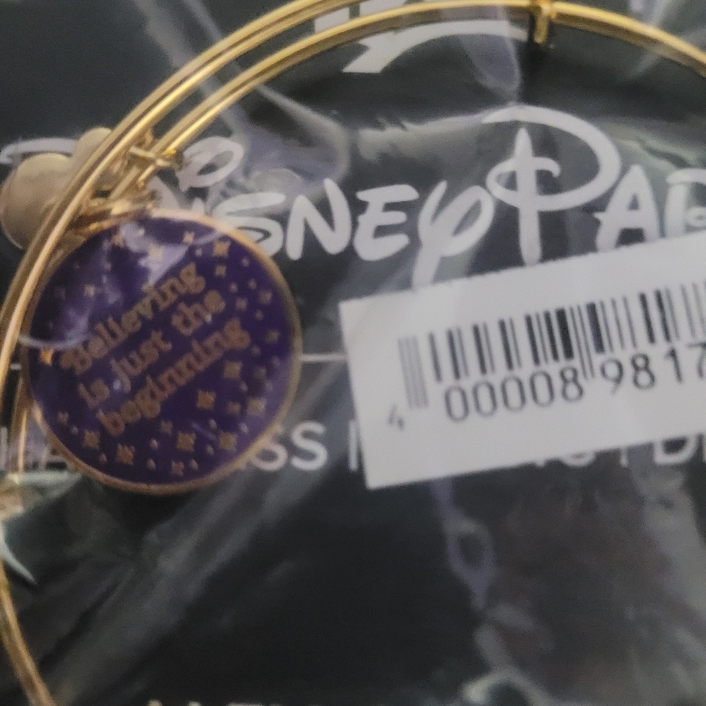 Disney Park Alex and Ani